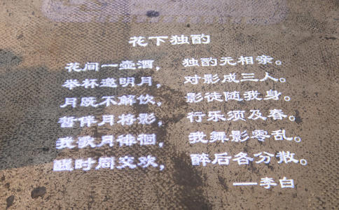 宫殿婚礼悠闲享受_婚礼